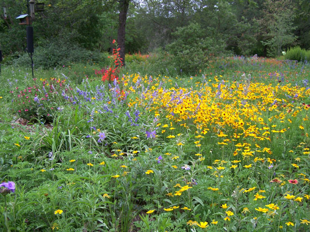 Riverside Nature Center